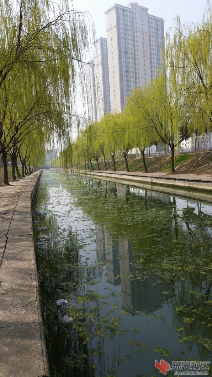 20150312_124442.jpg