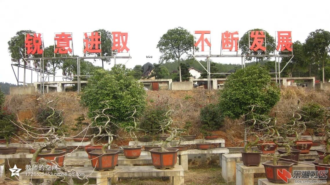 锐意进取.jpg