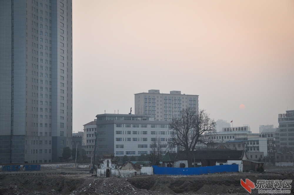 DSC_2431.jpg