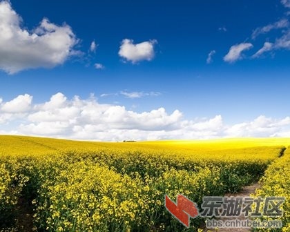 t012d207de8b42106bb.jpg