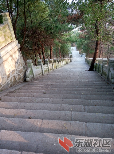 P50313-171007.jpg