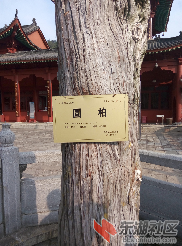 P50313-162716.jpg