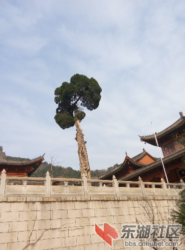 P50313-162401.jpg