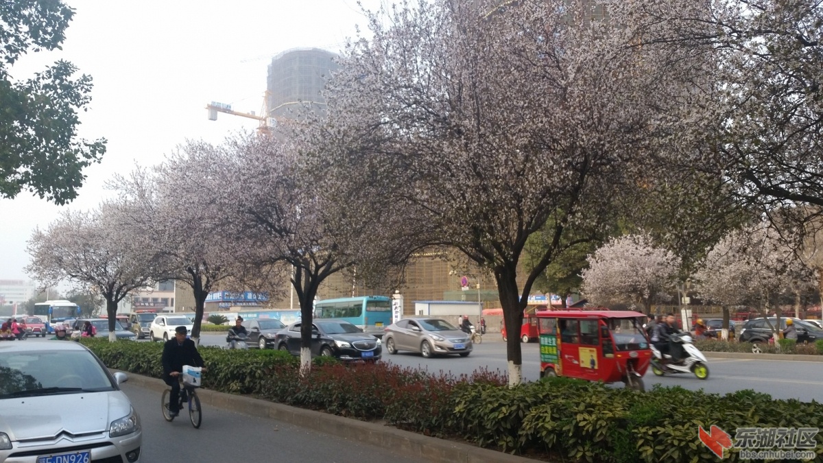 20150316_174725.jpg