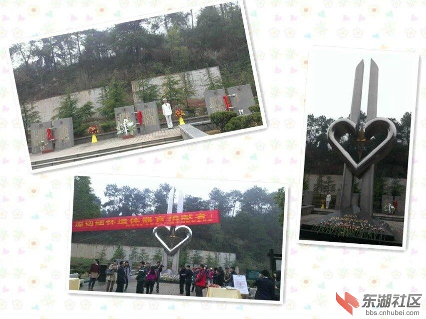 QQ图片20150317202049.jpg