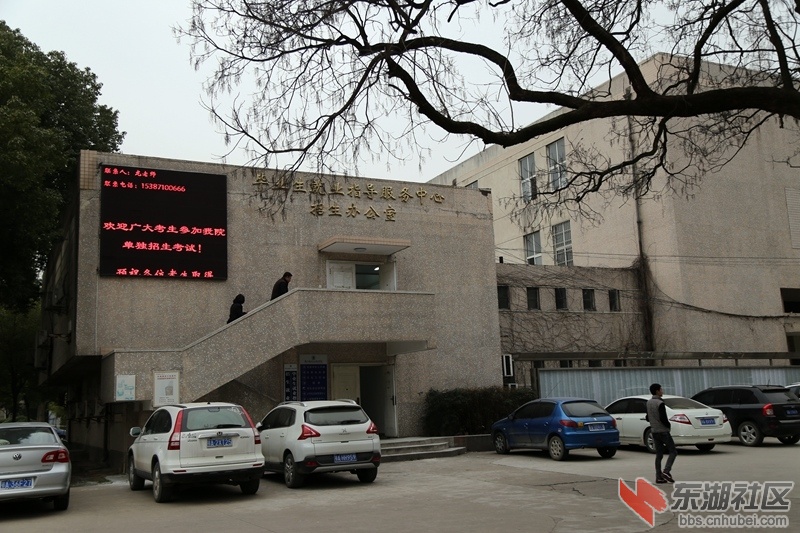 IMG_3787.JPG