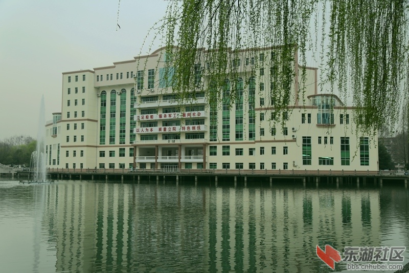 IMG_3793.JPG