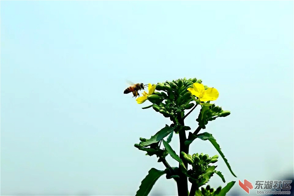 154712iwv9oc55m2oo6ve2.jpg
