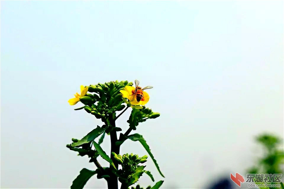 154737gpntvp321s5b11be.jpg