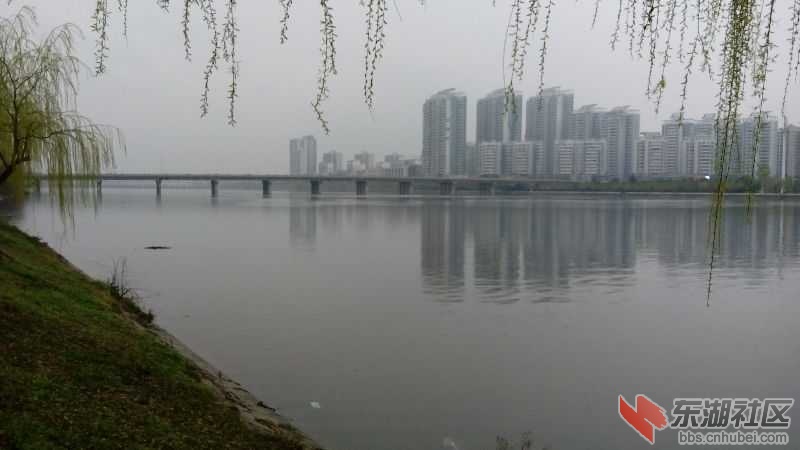 IMG_20150318_090318.jpg