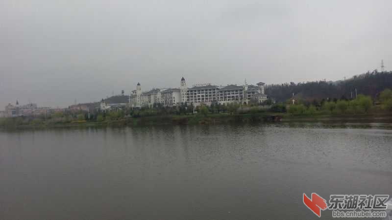 IMG_20150318_102204.jpg