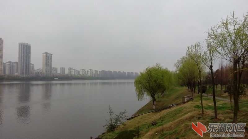 IMG_20150318_101923.jpg