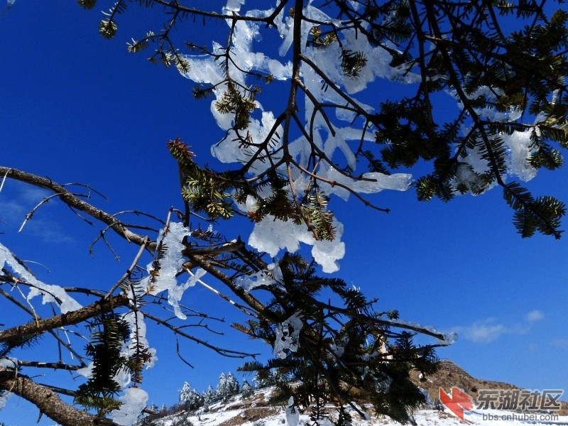 conew_l1020374.jpg