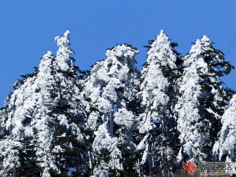 conew_l1020371.jpg