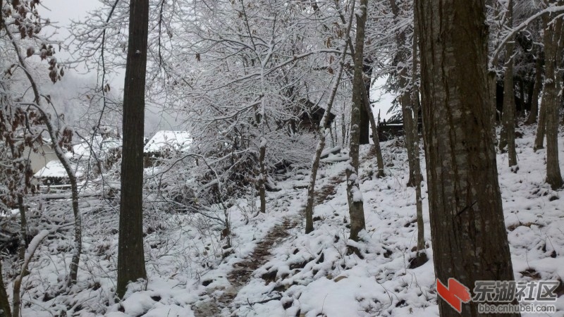 conew_2011-12-01_11-43-46_124.jpg