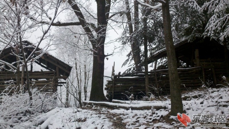 conew_2011-12-01_11-44-11_15.jpg