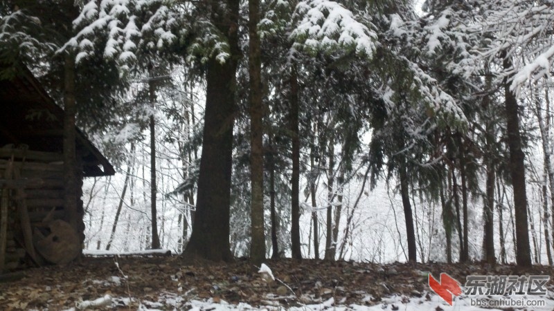conew_2011-12-01_11-44-37_808.jpg
