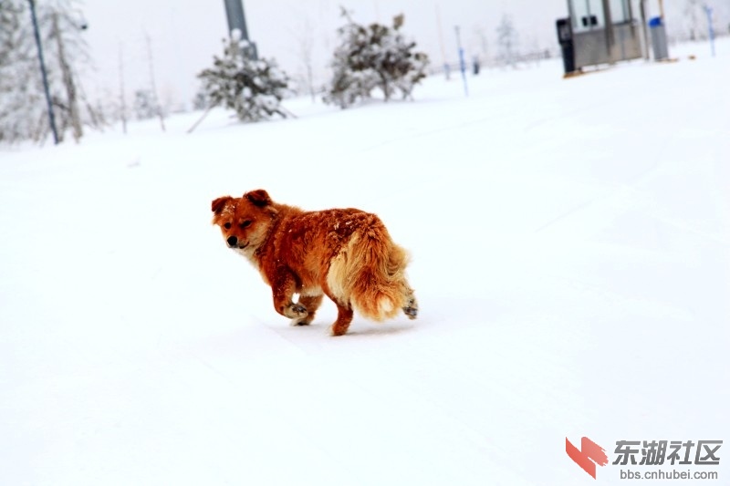 conew_img_3406.jpg