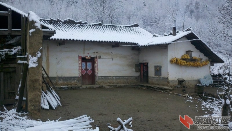 conew_conew_2011-12-01_11-45-15_242.jpg