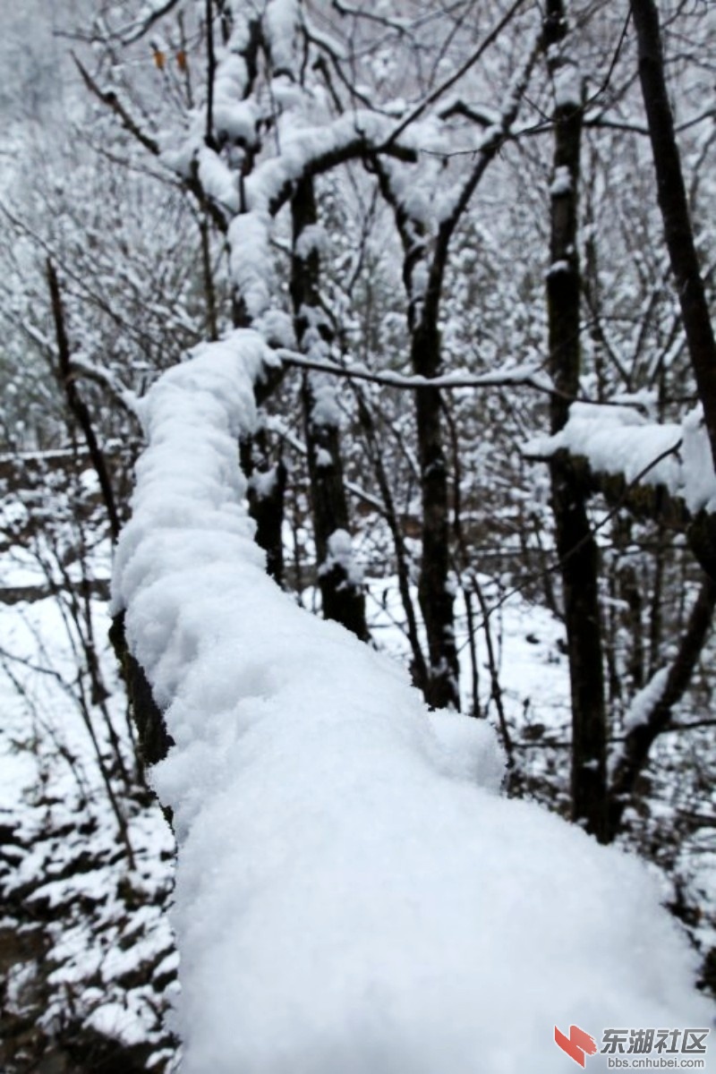 conew_conew_img_3164_conew1.jpg