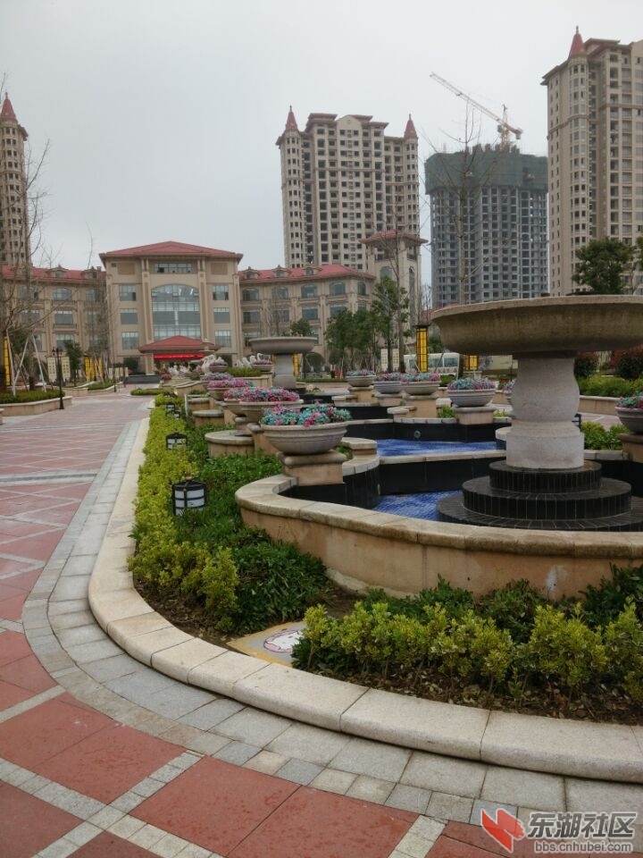 QQ图片20150320154513.jpg