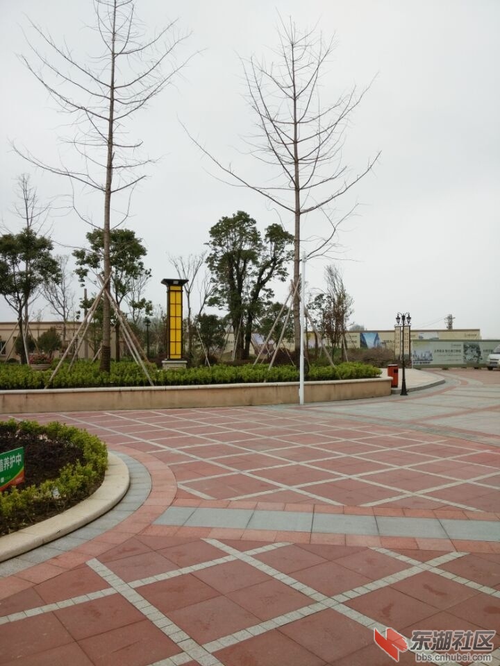 QQ图片20150320154533.jpg