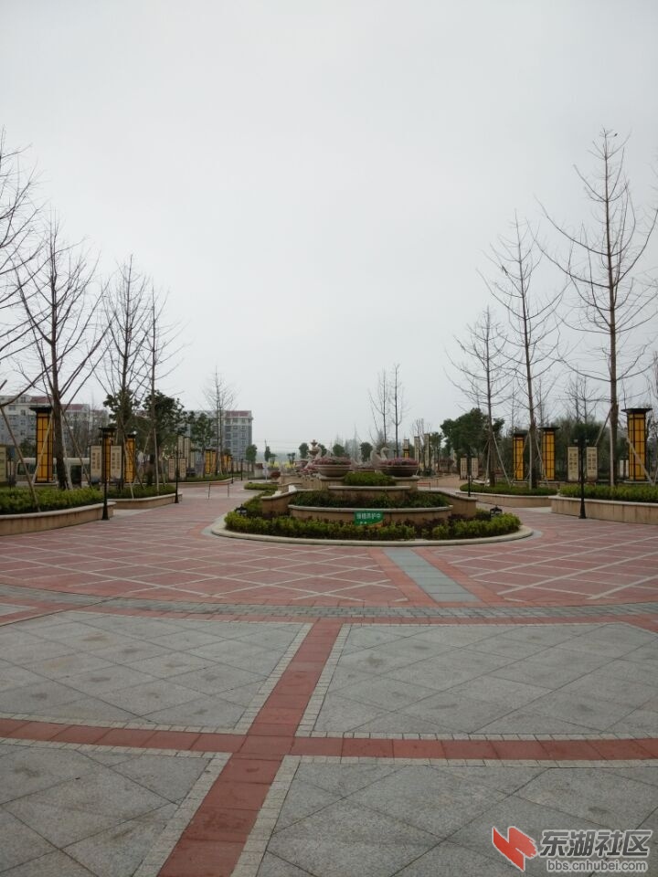 QQ图片20150320154540.jpg