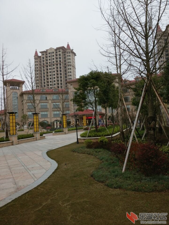 QQ图片20150320154628.jpg