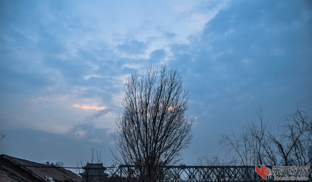 nEO_IMG_DSC_8621.jpg