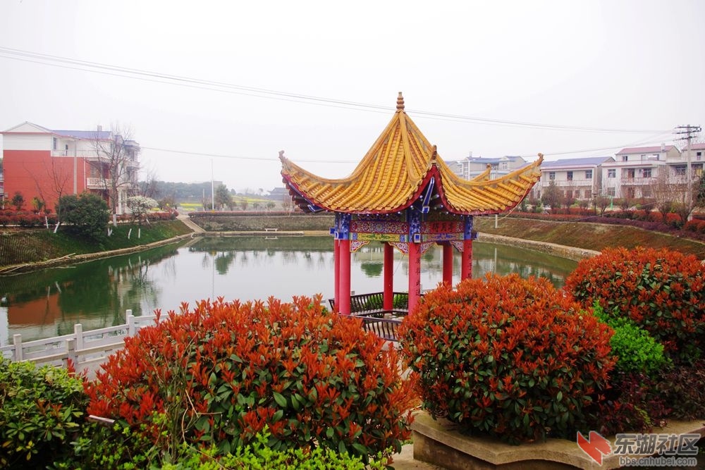 IMGP2012_副本.jpg