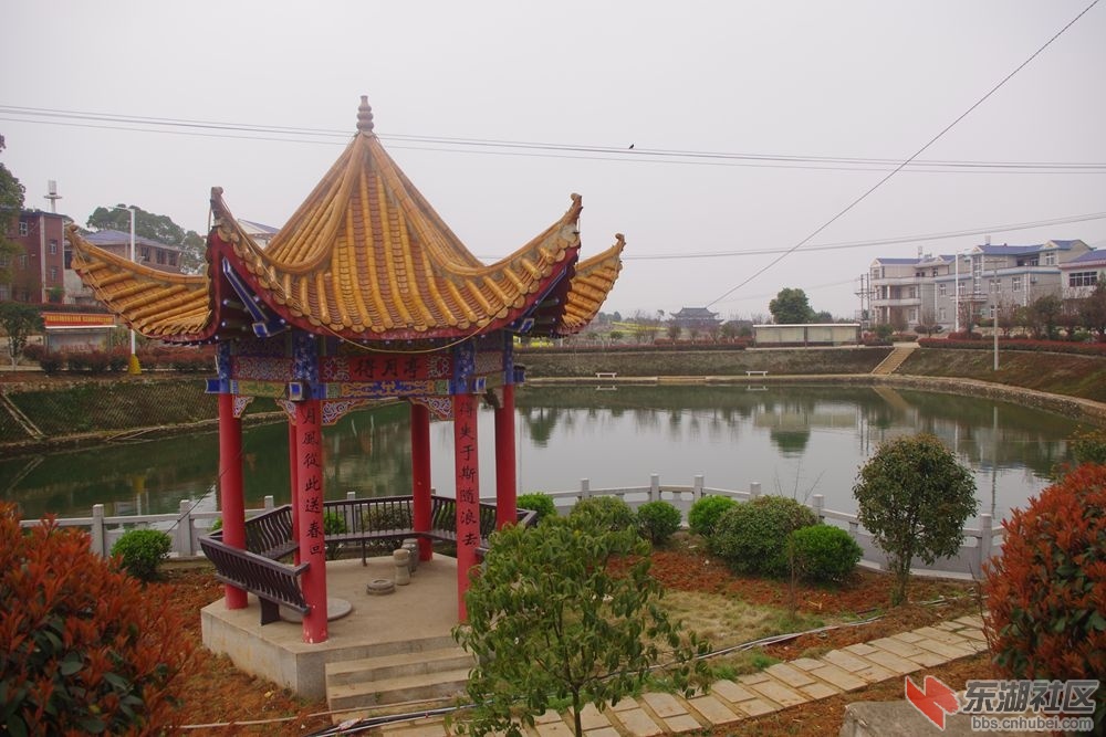 IMGP2015_副本.jpg