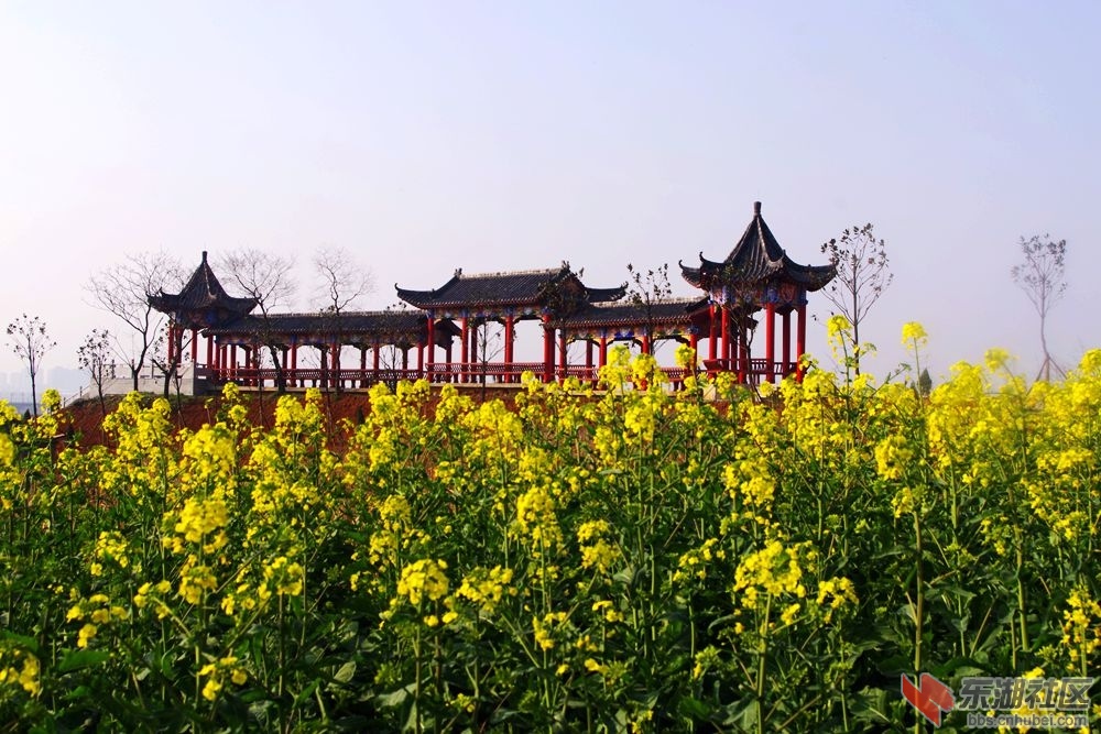 IMGP1814_副本.jpg