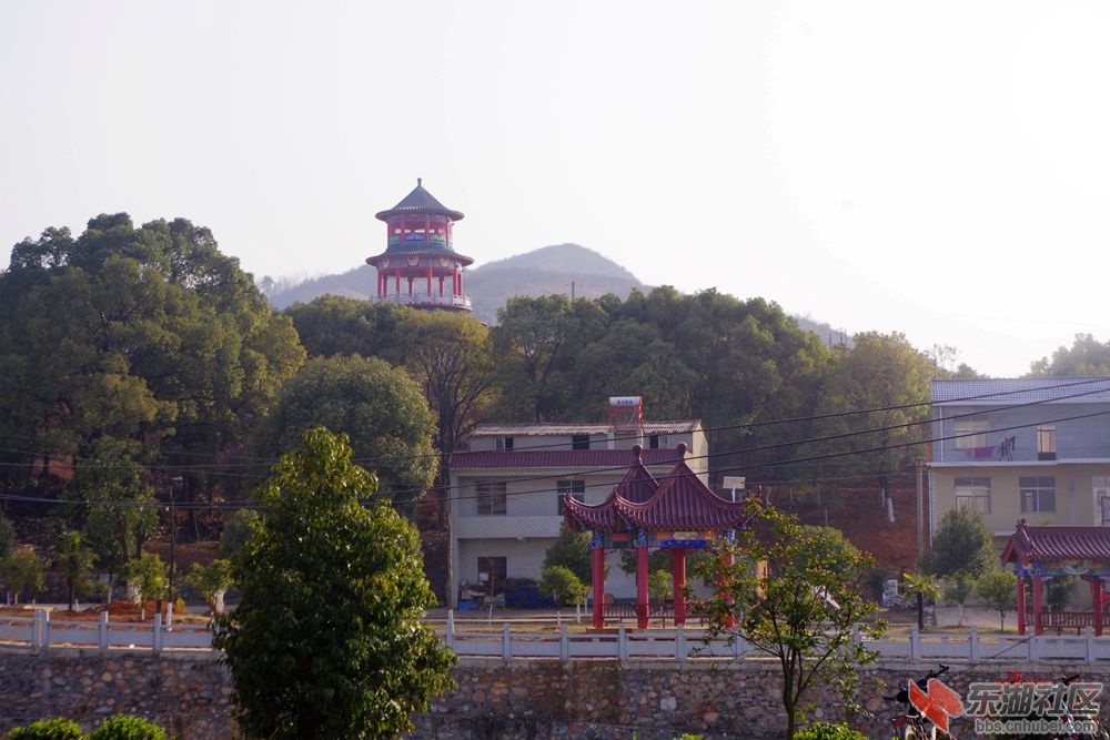 IMGP1836_副本.jpg