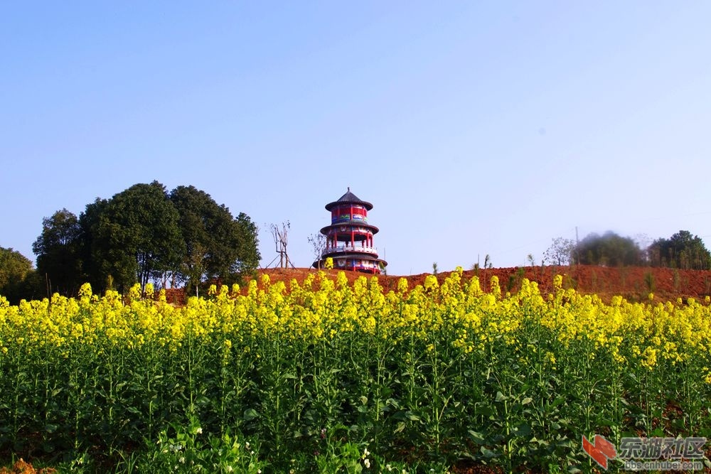 IMGP1843_副本.jpg