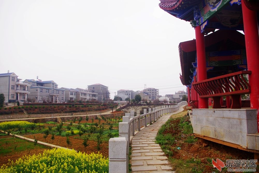 IMGP1991_副本.jpg