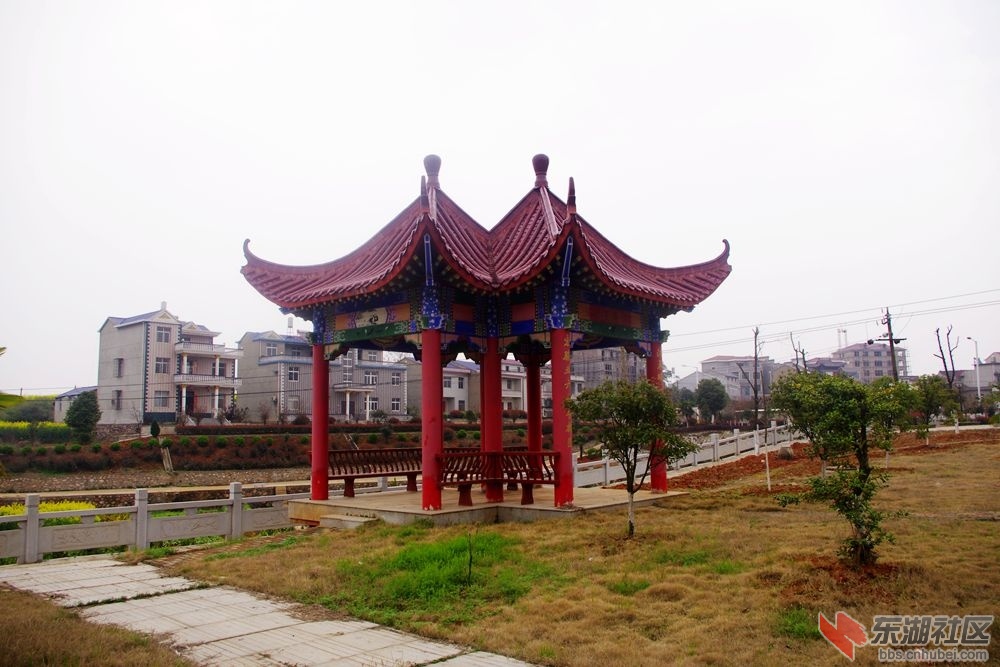 IMGP1993_副本.jpg