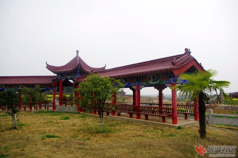 IMGP1994_副本.jpg