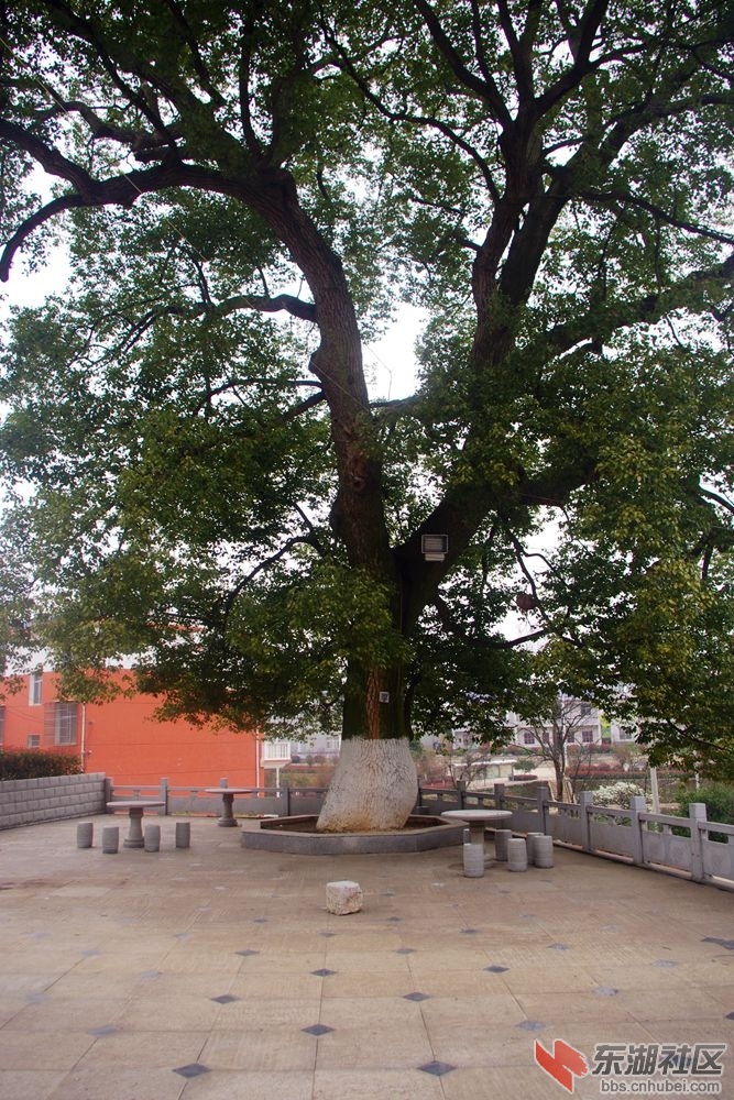 IMGP1999_副本.jpg