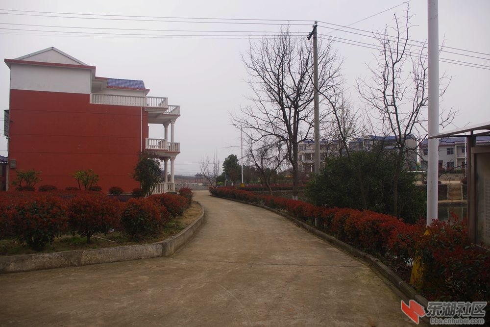 IMGP2001_副本.jpg