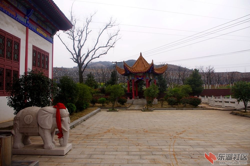 IMGP2006_副本.jpg