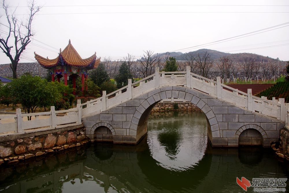 IMGP2007_副本.jpg
