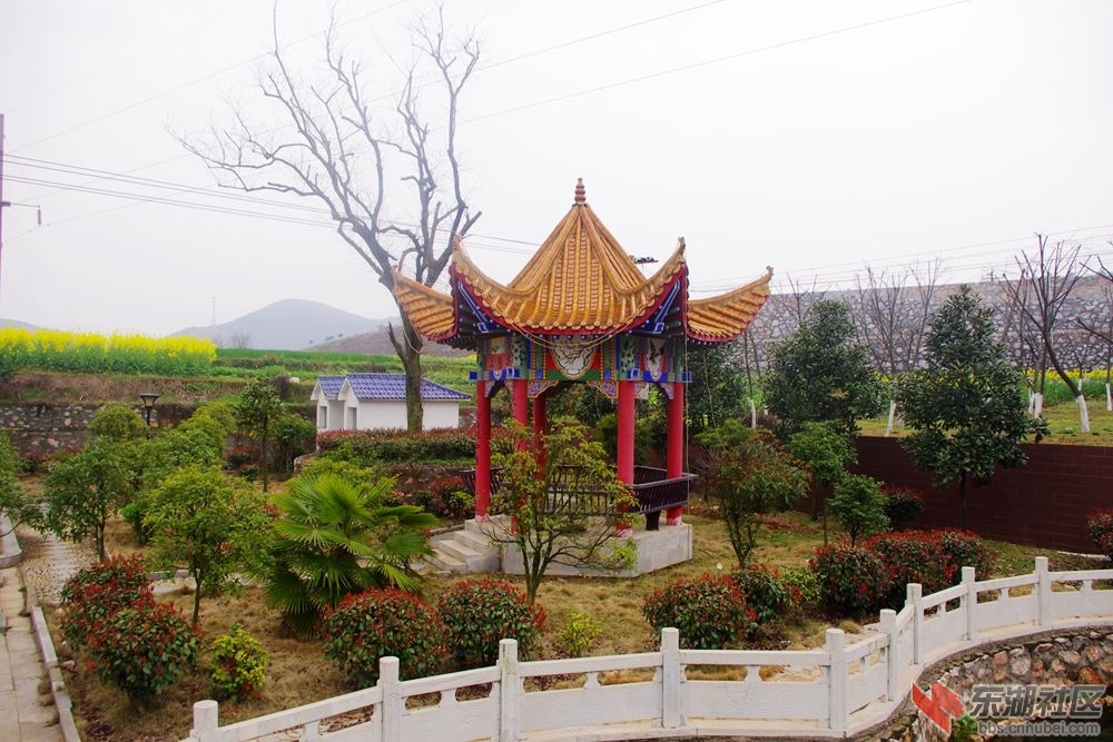 IMGP2010_副本.jpg