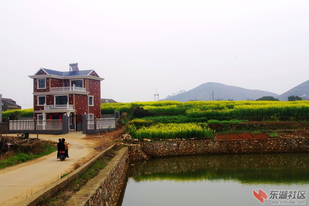 IMGP2019_副本.jpg