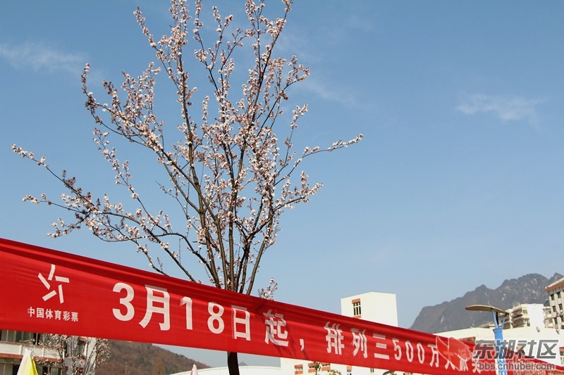 IMG_9960_副本.jpg