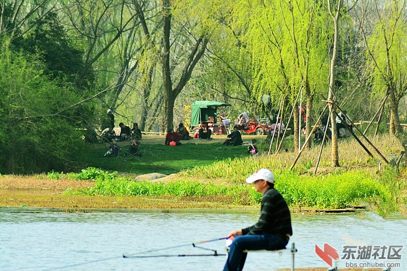 chjf 0583.jpg
