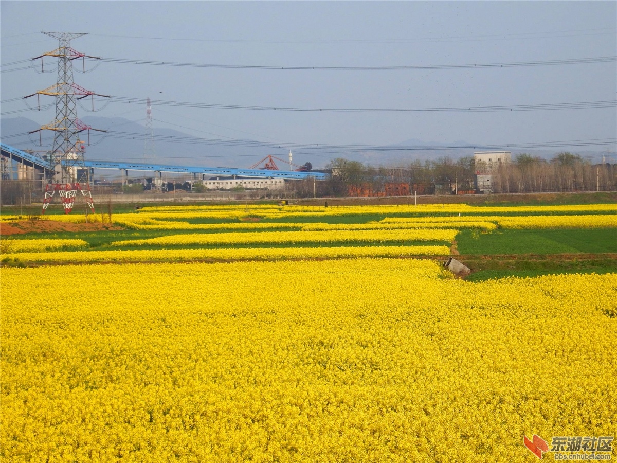 DSCF3195_副本.jpg