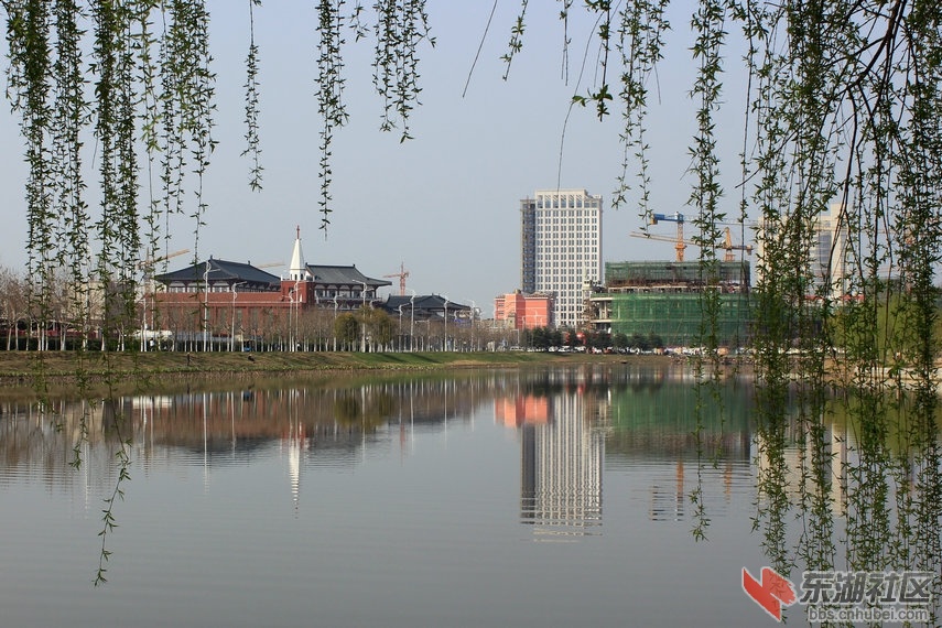 200753efyeee6v03yhh6w4.jpg