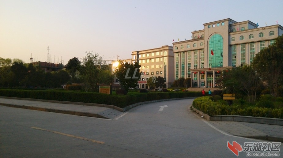 政府全.JPG