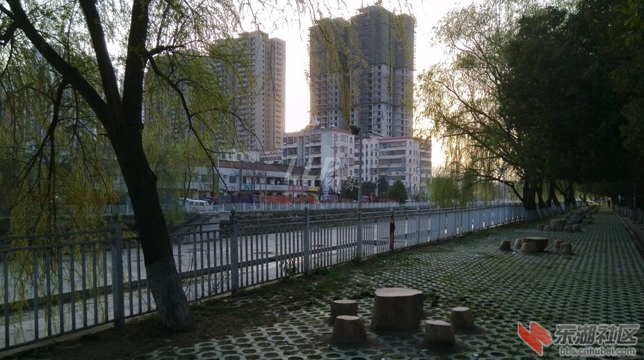 高楼2.JPG