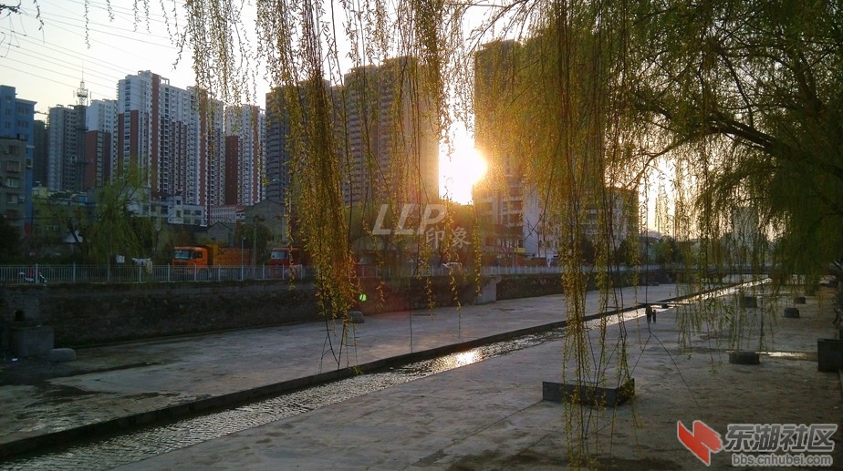 高楼.JPG